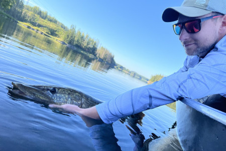 Pike Fishing with a Fly or Spinning