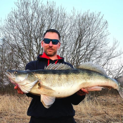 Boat fishing for Zander In Sweden