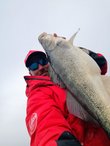 Boat fishing for Zander In Sweden