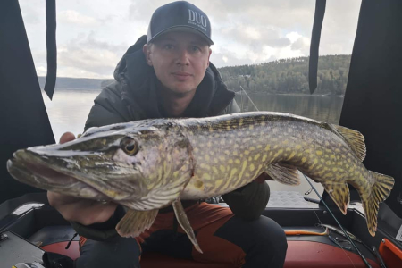 Pike Fishing with a Fly or Spinning in most beautiful lake in south Norway
